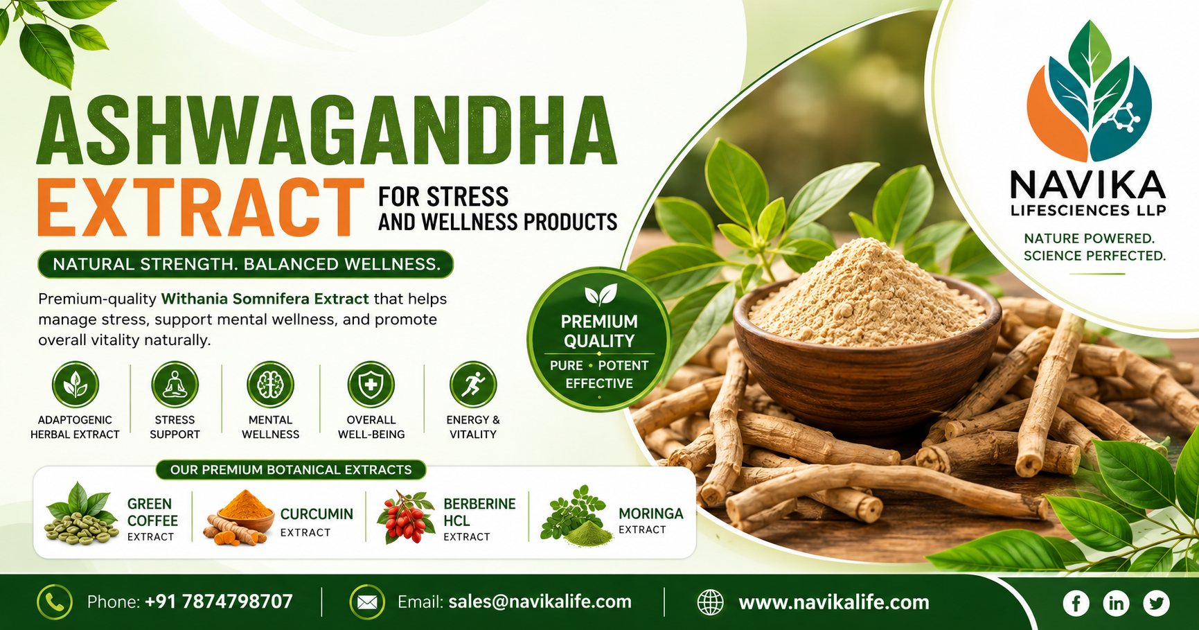 Ashwagandha Extract