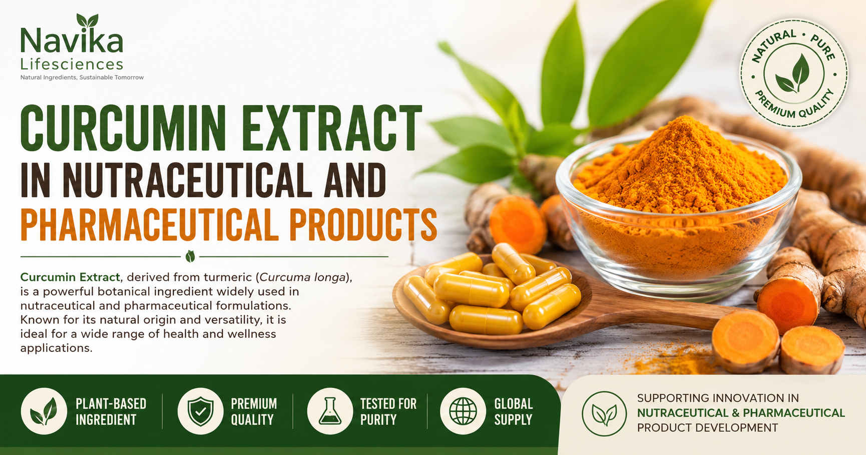 Curcumin Extract