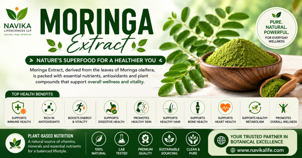 Premium Moringa Extract powder with fresh Moringa leaves, seed pods, and herbal capsules showcasing natural botanical ingredients for nutraceutical, dietary supplement, and wellness products by Navika Lifesciences.